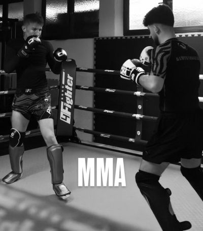 mma image mma MMA