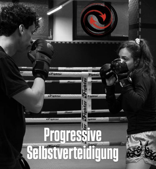 progressiveselbstverteidigung image progressiveselbstverteidigung PSV