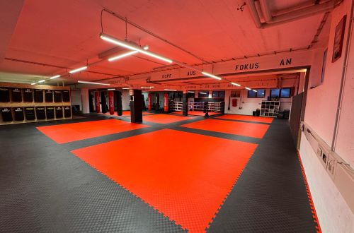 gymhomenew1 image gymhomenew1 Akademie für Selbstverteidigung & Kickboxen Weinstadt