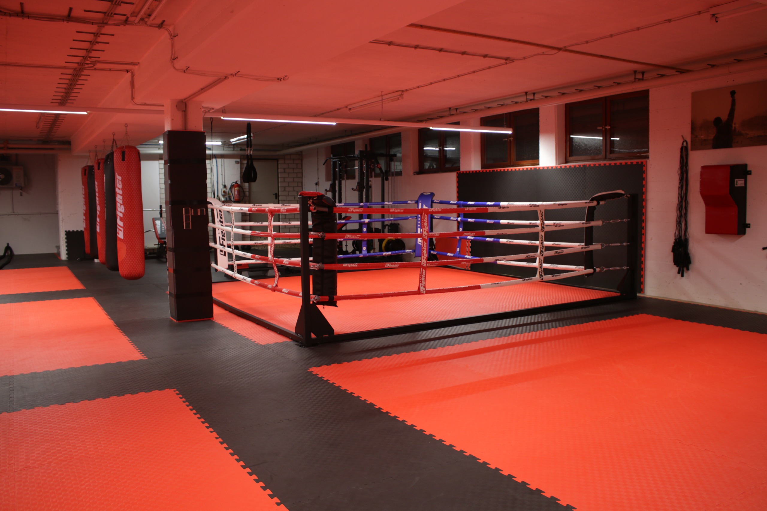 gym2 image gym2 Akademie für Selbstverteidigung & Kickboxen Weinstadt