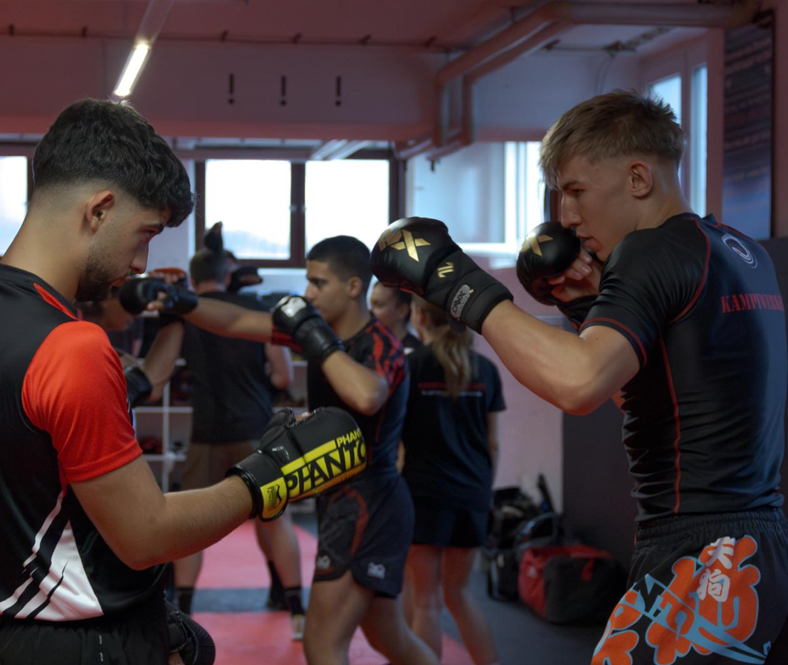 mixmartialhome Mix Martial Arts