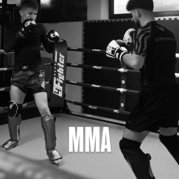 mma-78f2096e Akademie f&uuml;r Selbstverteidigung & Kickboxen Weinstadt